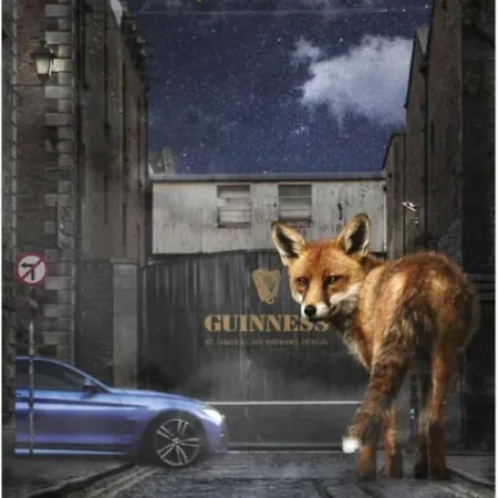 Spacious 3-bedroom In Vibrant 8 Appartement