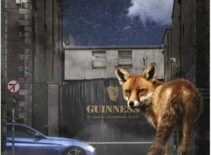 Spacious 3-bedroom In Vibrant 8 Appartement